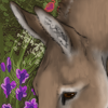 custom by #69: Equus africanus asinus; everyone needs a donkey for a friend! Artwork by Maggots, #69. custom by #69: Equus africanus asinus; everyone needs a donkey for a friend! Artwork by Maggots, #69.